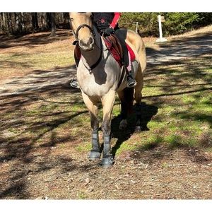 Meet your Posher, Jayla